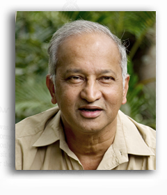 K. Ullas Karanth Papers