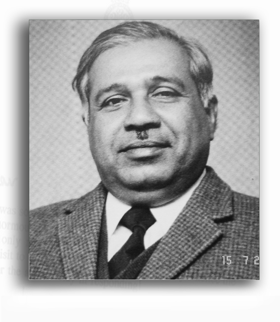 M.N. Deshpande Papers