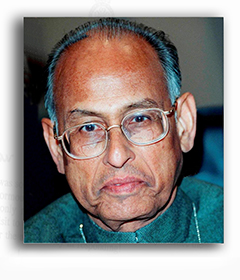 L.M. Singhvi Papers