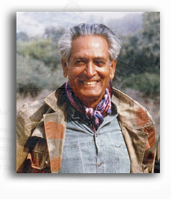 Kailash Sankhala Papers