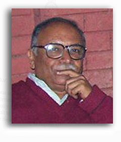 Prosenjit Dasgupta Papers